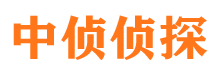 环翠寻人公司